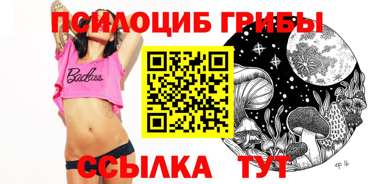 Галлюциногенные грибы мицелий  Галлюциногенные грибы Cubensis  купить закладку  Зима  Вход с VPN 
