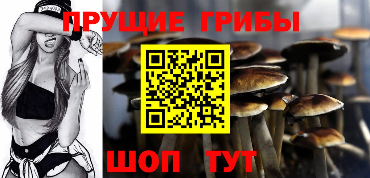 Галлюциногенные грибы Cubensis Зима